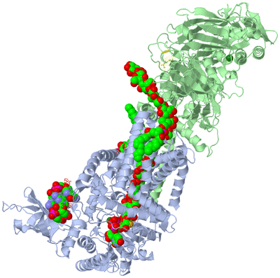 Image Asym./Biol. Unit