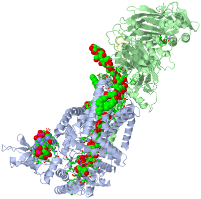 Image Asym./Biol. Unit - sites