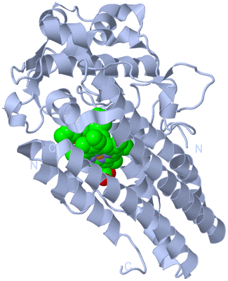 Image Biological Unit 1