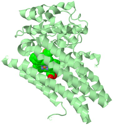 Image Biological Unit 2