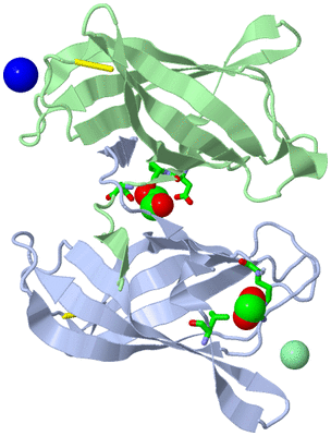 Image Asym./Biol. Unit - sites