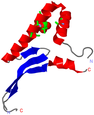 Image Asym. Unit - sites