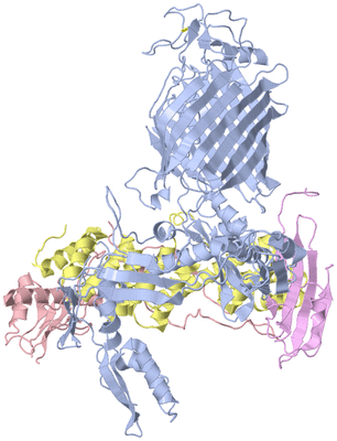 Image Asym./Biol. Unit