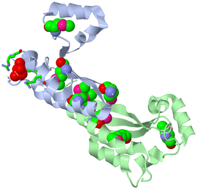 Image Biol. Unit 1 - sites