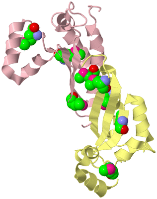 Image Biological Unit 2