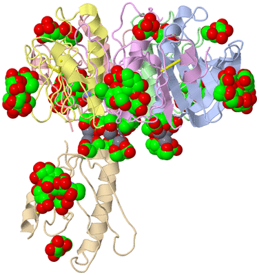 Image Biological Unit 1