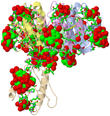 Image Biol. Unit 1 - sites