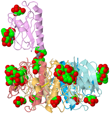 Image Biological Unit 2