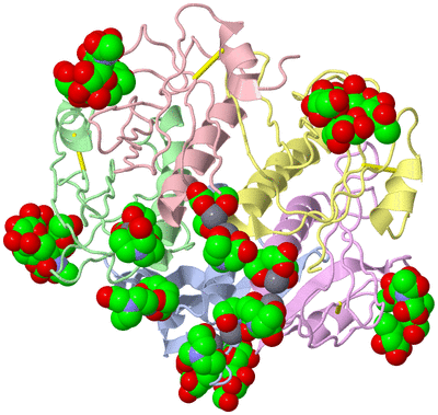 Image Biological Unit 1