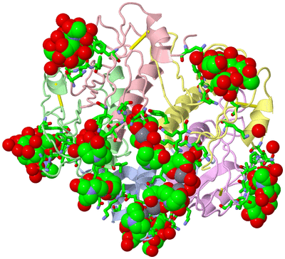 Image Biol. Unit 1 - sites