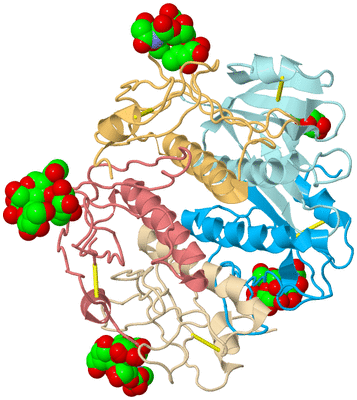 Image Biological Unit 2