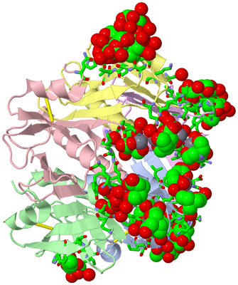 Image Biol. Unit 1 - sites