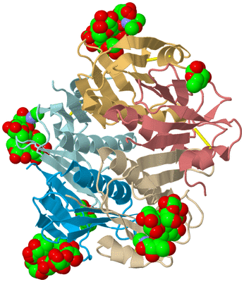 Image Biological Unit 2