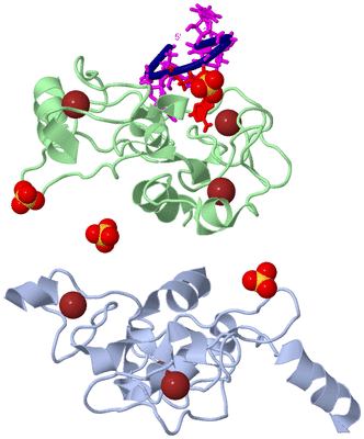 Image Asym./Biol. Unit