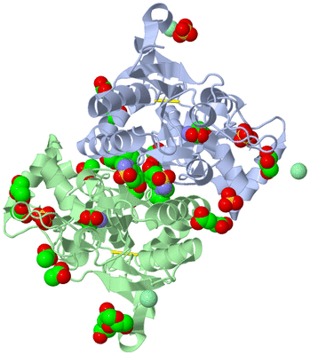 Image Asym./Biol. Unit