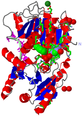 Image Asym./Biol. Unit - sites