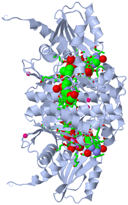 Image Biol. Unit 1 - sites