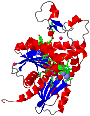 Image Asym. Unit - sites