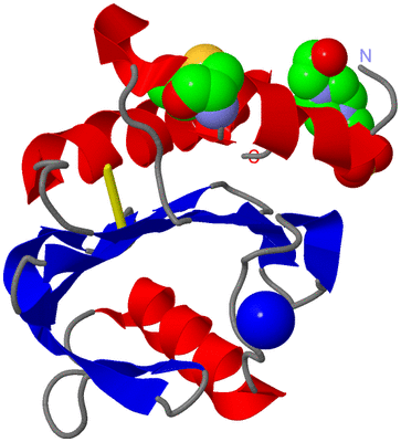 Image Asym./Biol. Unit