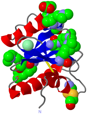 Image Asym./Biol. Unit