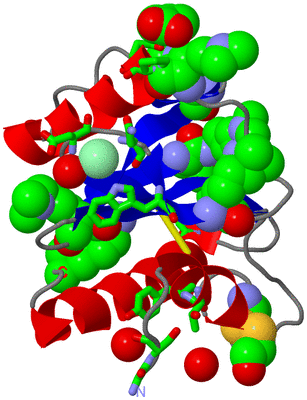 Image Asym./Biol. Unit - sites