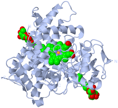 Image Biological Unit 1