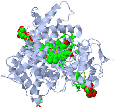 Image Biol. Unit 1 - sites