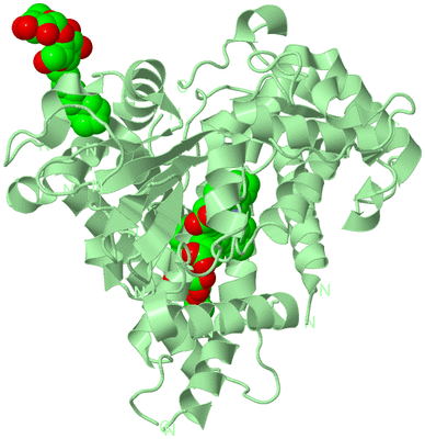 Image Biological Unit 2