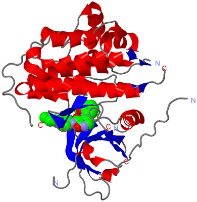 Image Asym./Biol. Unit