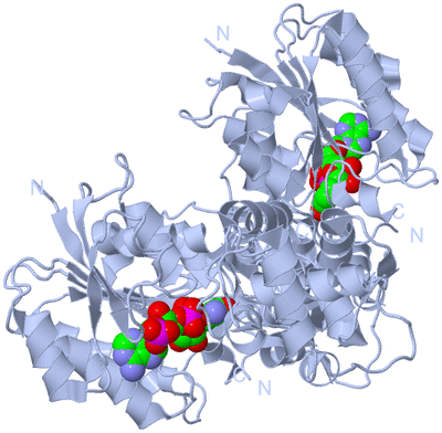 Image Biological Unit 1