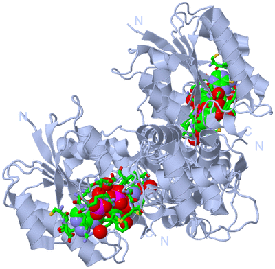 Image Biol. Unit 1 - sites