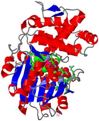 Image Asym. Unit - sites