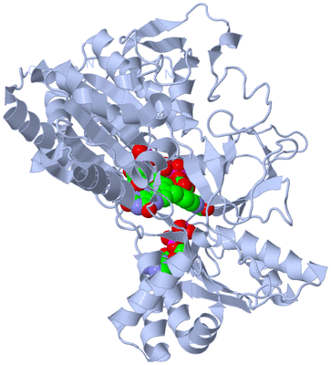 Image Biological Unit 1