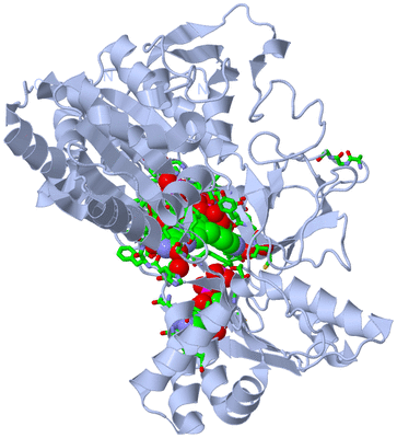 Image Biol. Unit 1 - sites