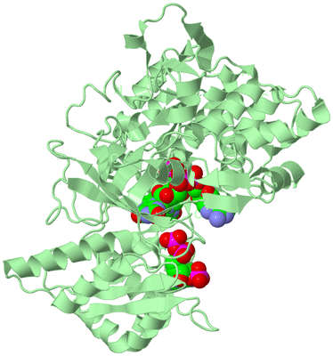 Image Biological Unit 2