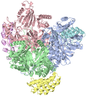 Image Asym./Biol. Unit