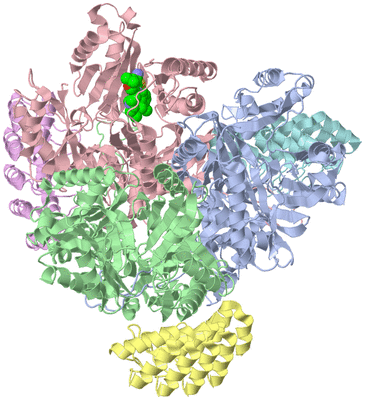 Image Asym./Biol. Unit