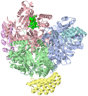 Image Asym./Biol. Unit - sites