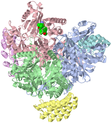 Image Asym./Biol. Unit