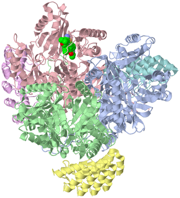 Image Asym./Biol. Unit