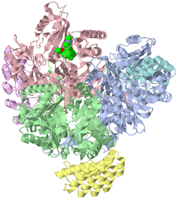 Image Asym./Biol. Unit