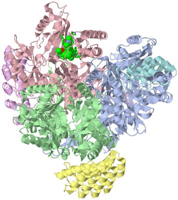 Image Asym./Biol. Unit - sites