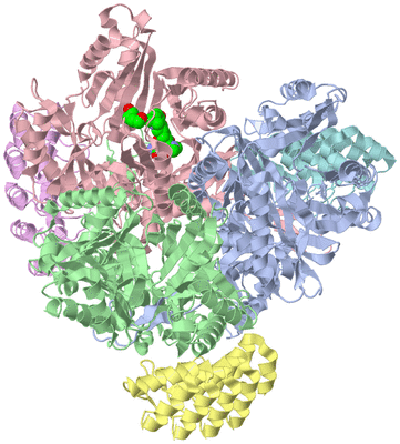 Image Asym./Biol. Unit