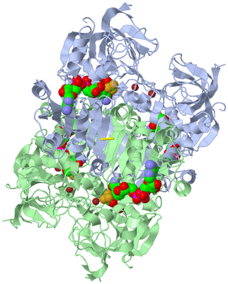 Image Biological Unit 1