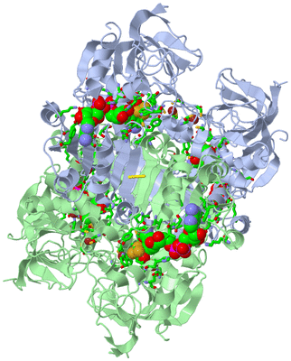 Image Biol. Unit 1 - sites