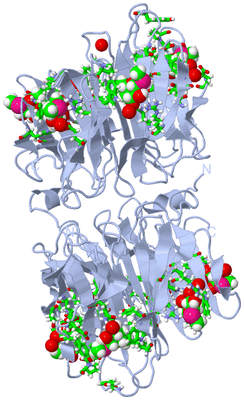 Image Biol. Unit 1 - sites