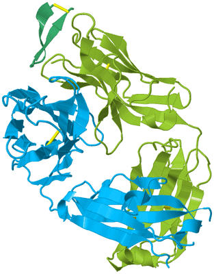 Image Biological Unit 2