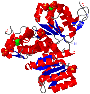 Image Asym./Biol. Unit