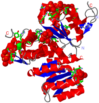 Image Asym./Biol. Unit - sites