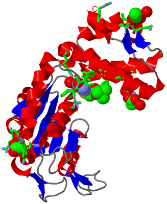 Image Asym./Biol. Unit - sites